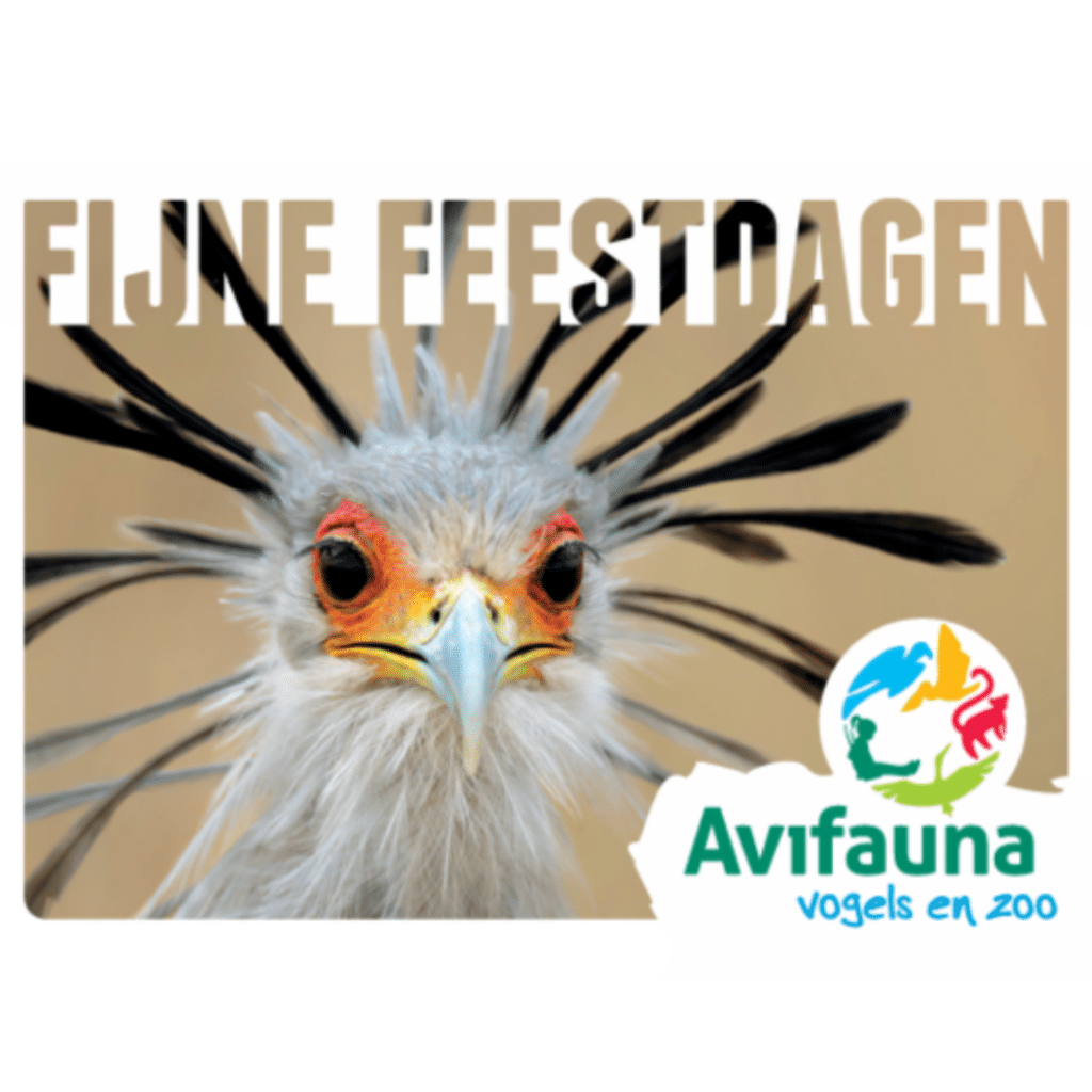 Secretaris Vogel Fijne Feestdagen Instagram Post. Deze Gebruiken