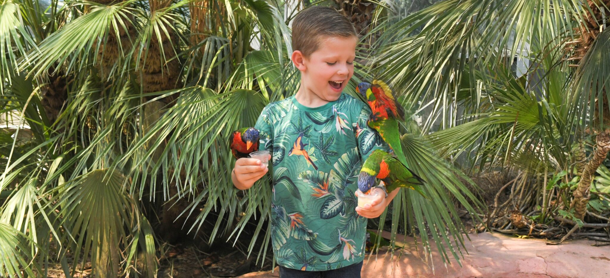 Jongetje.vogelshirt2