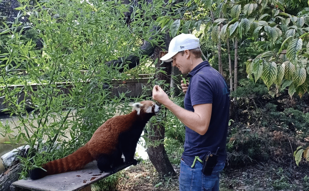 Nino Met Rode Panda