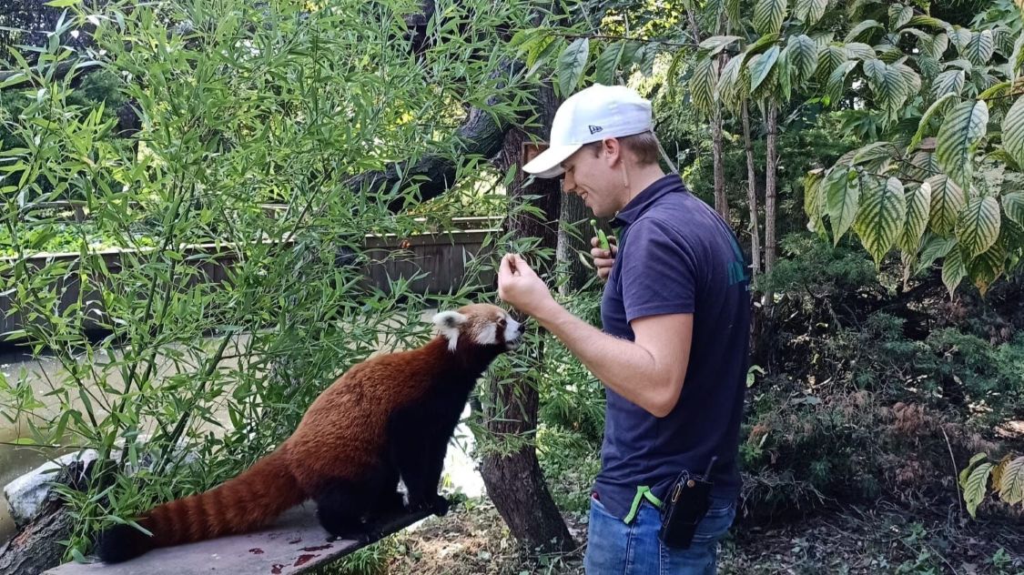 Nino Met Rode Panda