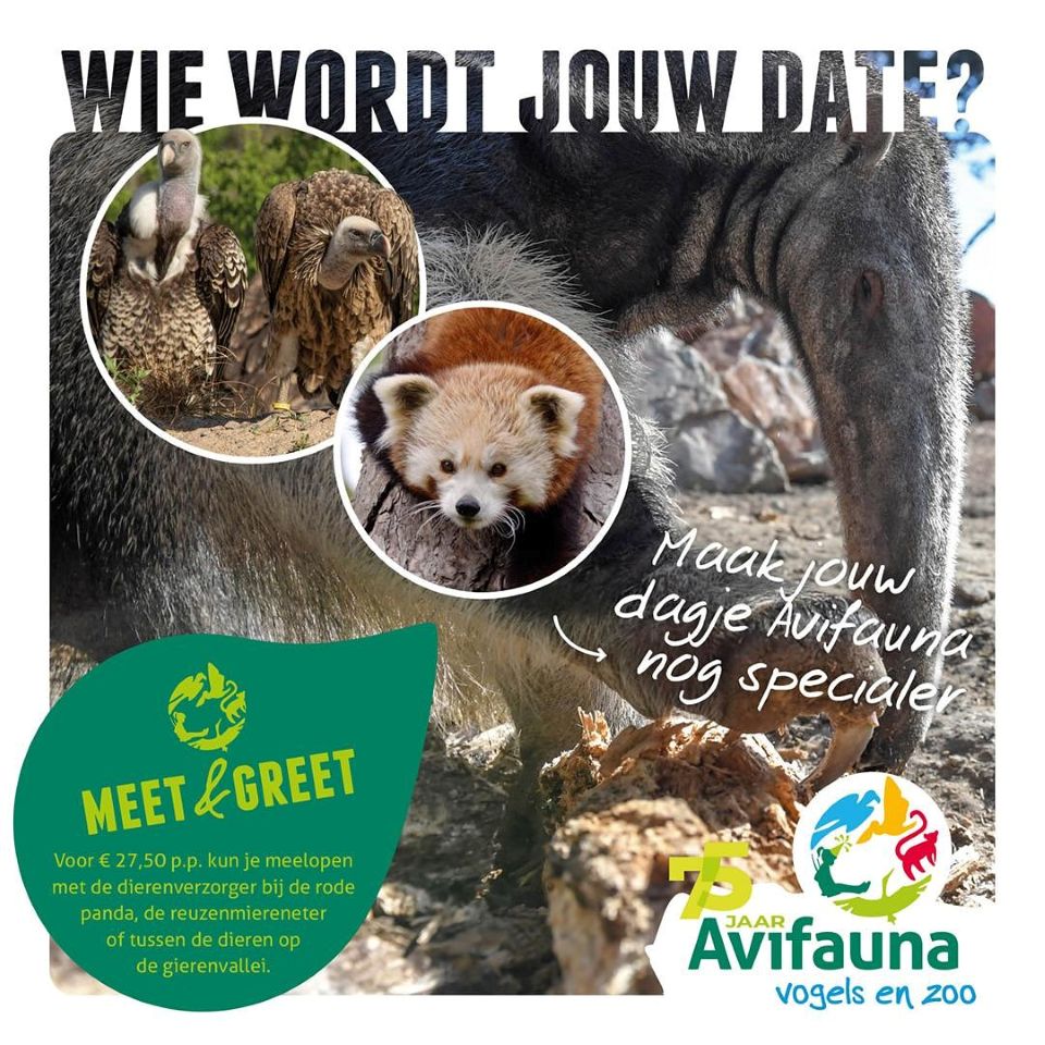Meet & Greet
