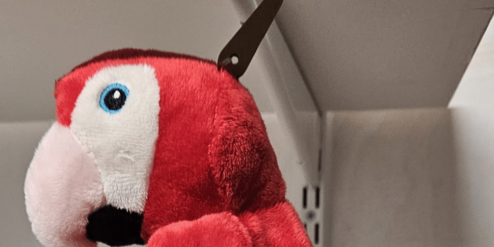 Terugroepactie: papegaaienknuffeldoekje!