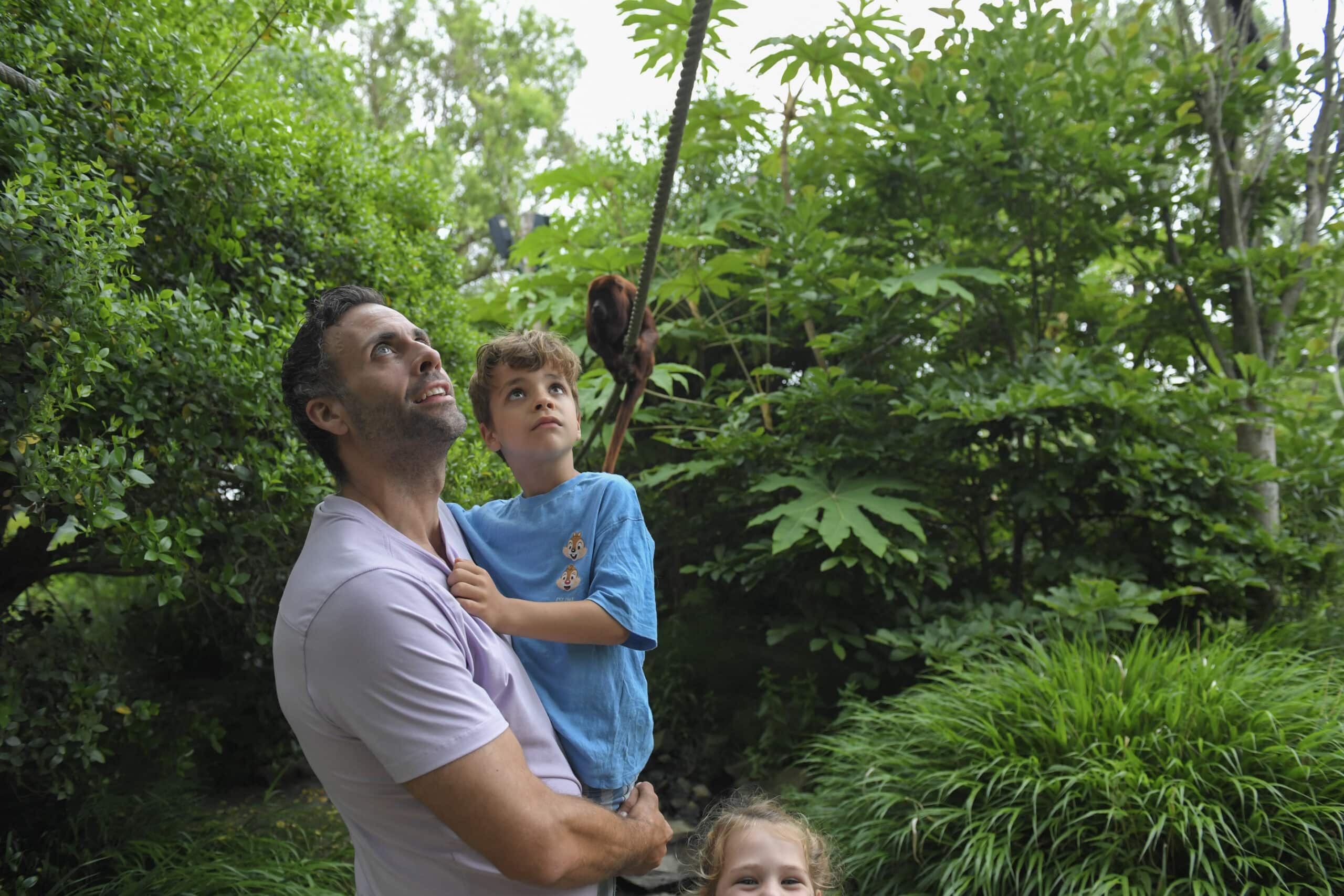 Vader en zoon dwergapen