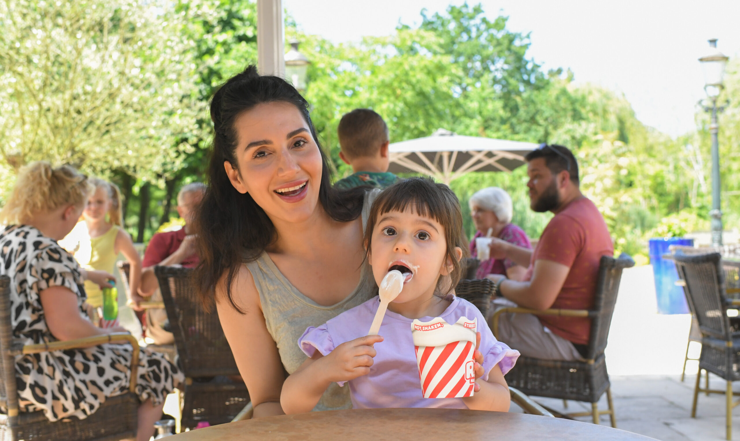 ijs eten op terras avifauna