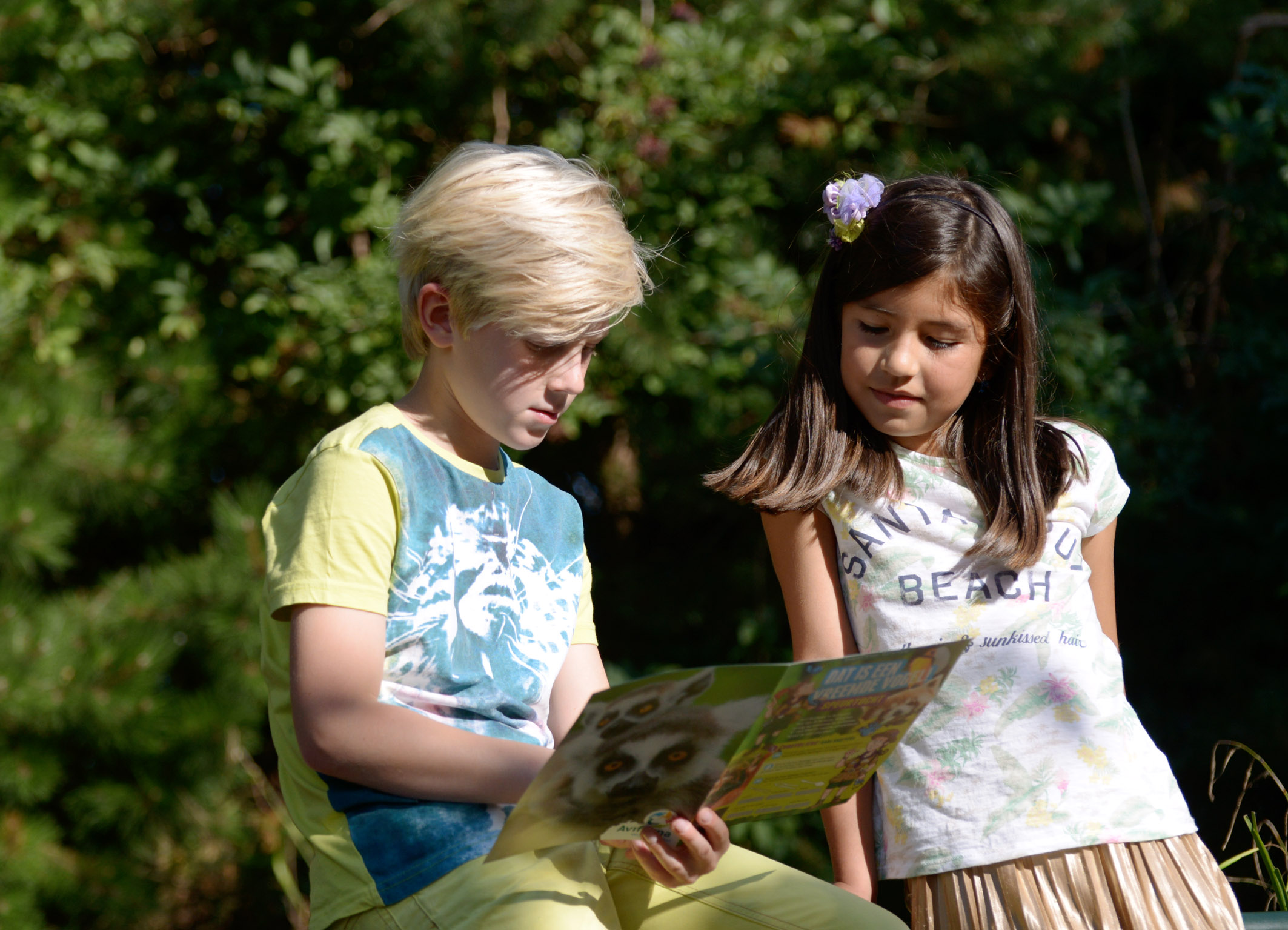 speurtocht avifauna