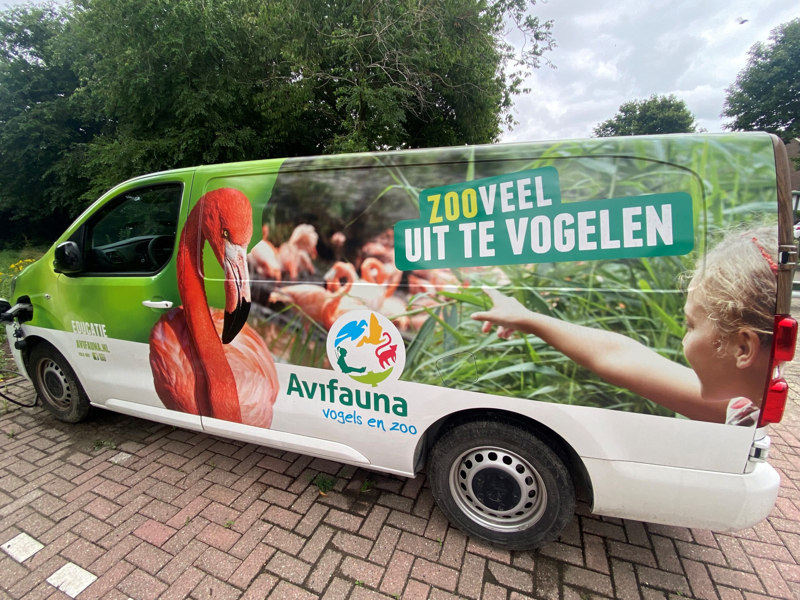 Duurzaamheid bus