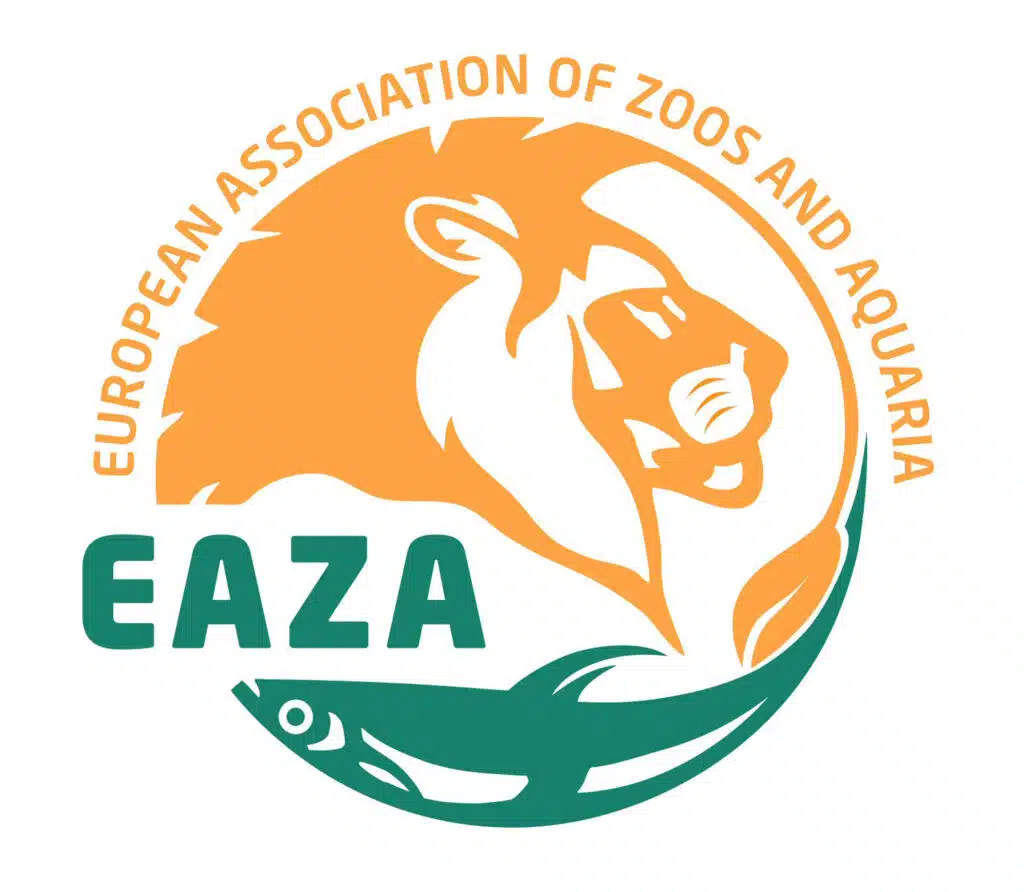 eaza-logo-colour-large-1024x892.jpg
