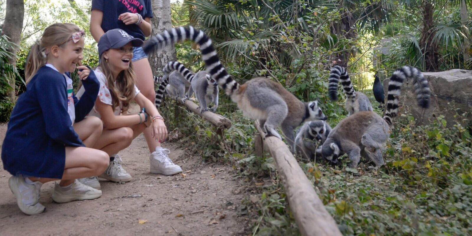 Madagaskargebied